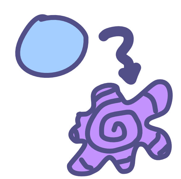 A blue circle has a squiggly arrow to the side of it pointing down at an organic shape with a spiral pattern in it. The organic shape has lots of curved sticking out parts, and is purple.